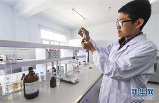 河北故城 新材料技術(shù)研發(fā)助力打造國際一流畫材基地